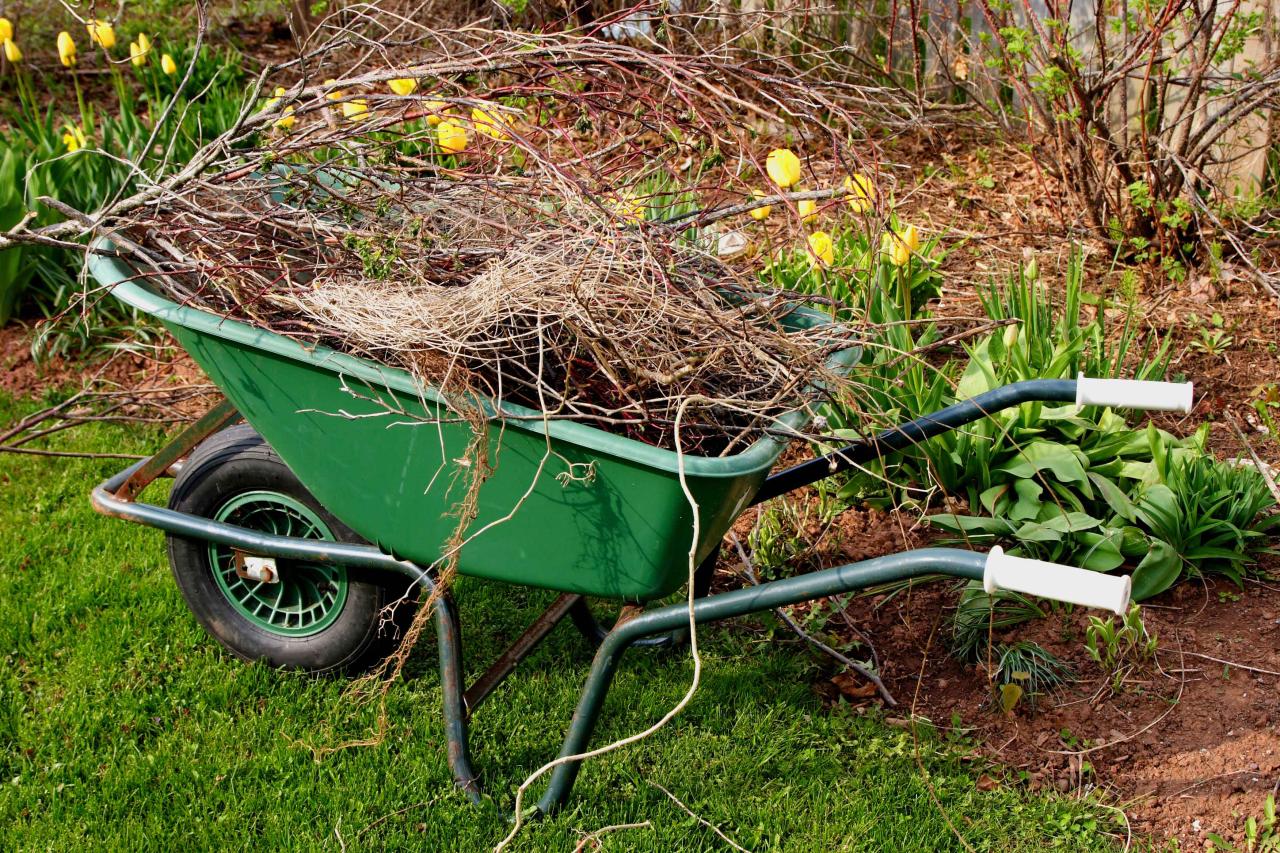 LAND CLEANING