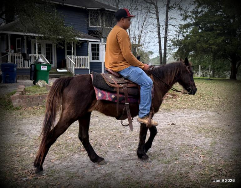 🩷❤️Pixie🩷❤️