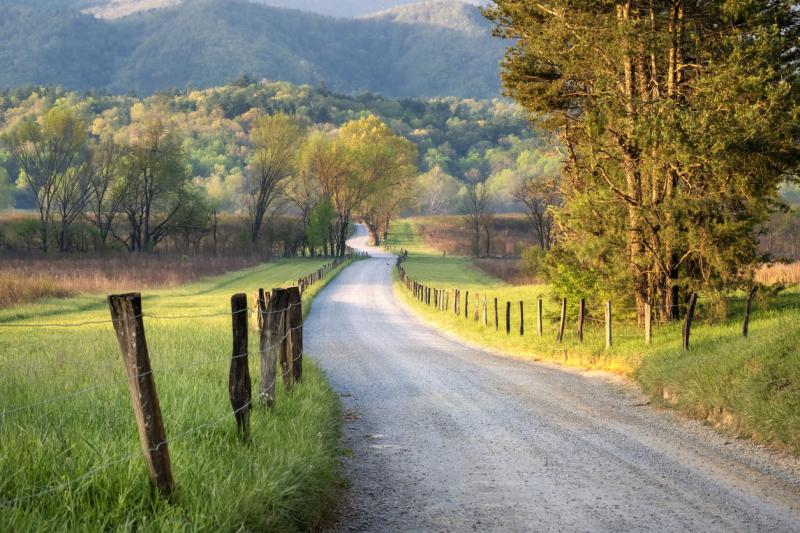 Country Road&nbsp;Paving