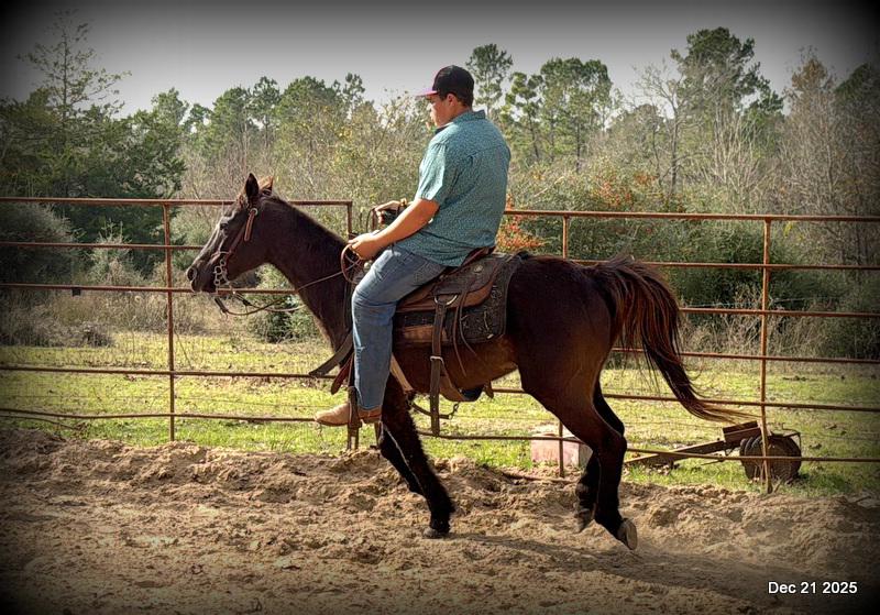 🩷❤️Pixie🩷❤️