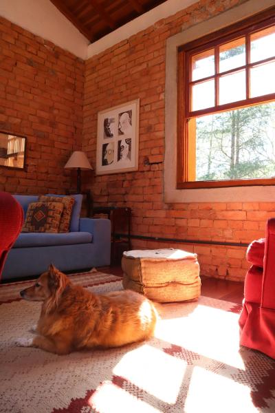 Odor Diagnosis &amp; Treatment