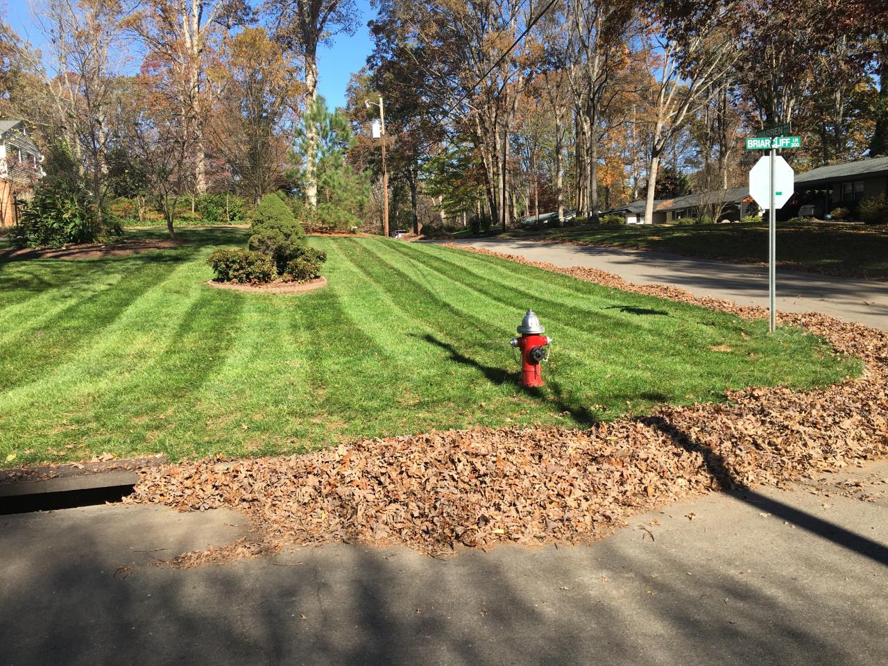 Fall Leaf-Clean Up