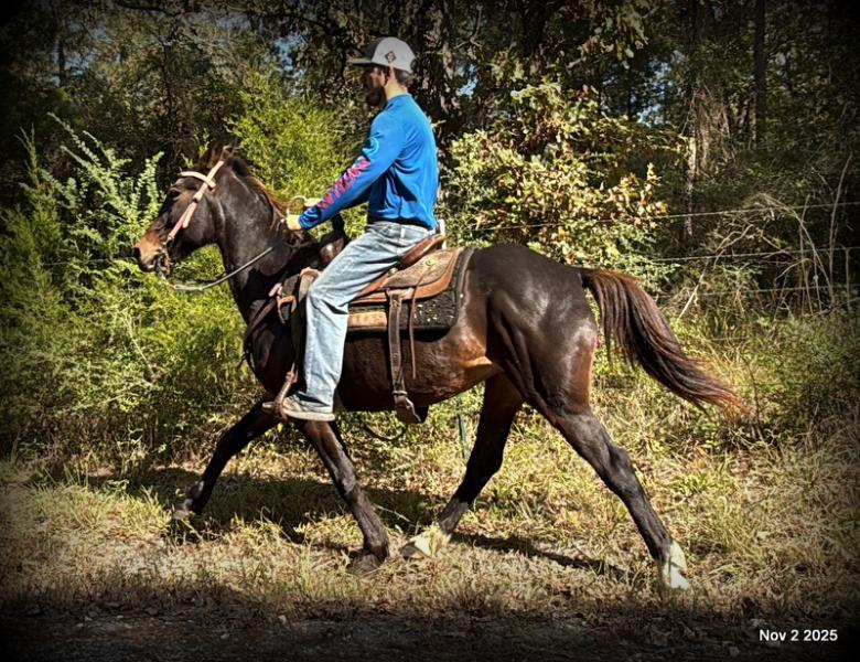 🧡Grace🧡 💔 ✨ The Underdog Who Deserves a Christmas Miracle ✨ 💔