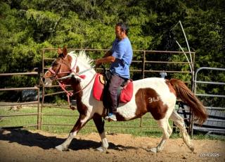 Jazzy – A Warrior Seeking Her Second Chance