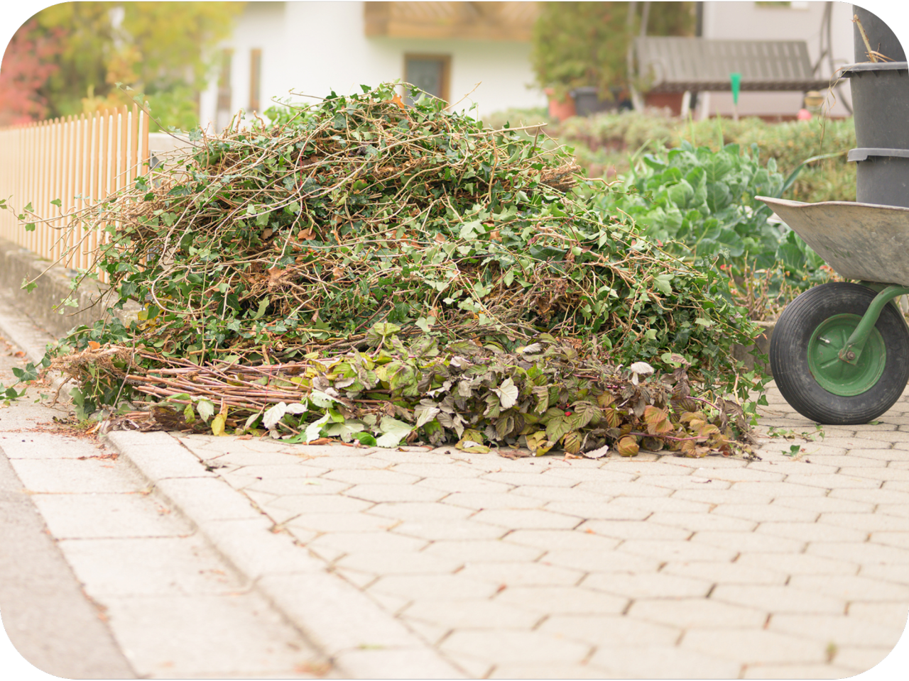 Yard Waste Removal