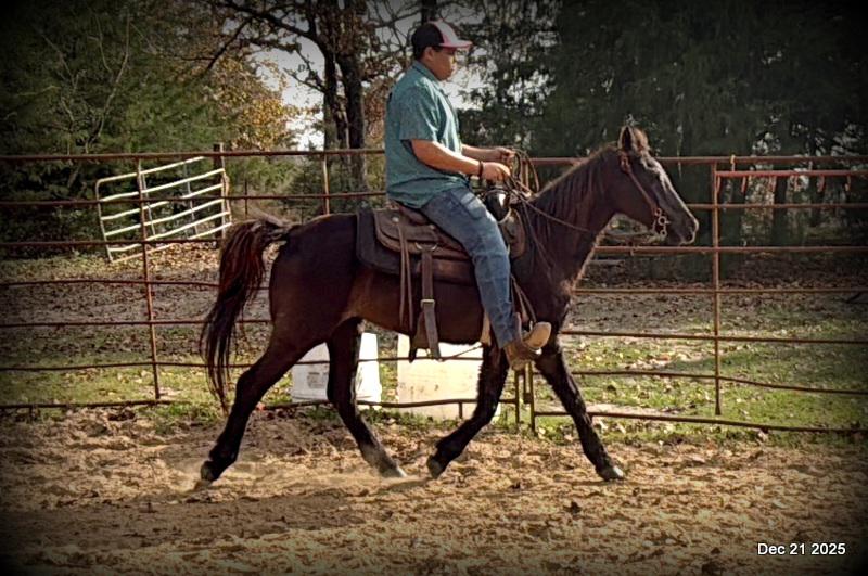 🩷❤️Pixie🩷❤️