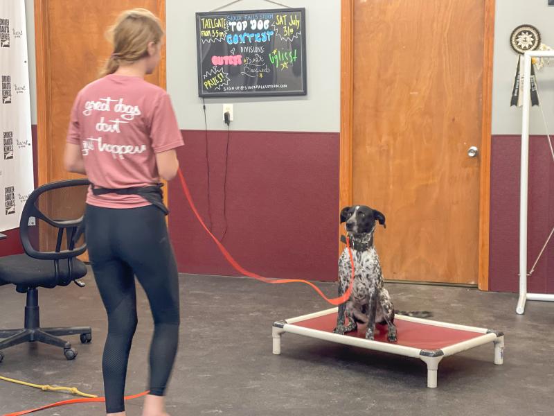 Pet Boarding Services In Sioux Falls SD Smoken Dakota Kennels