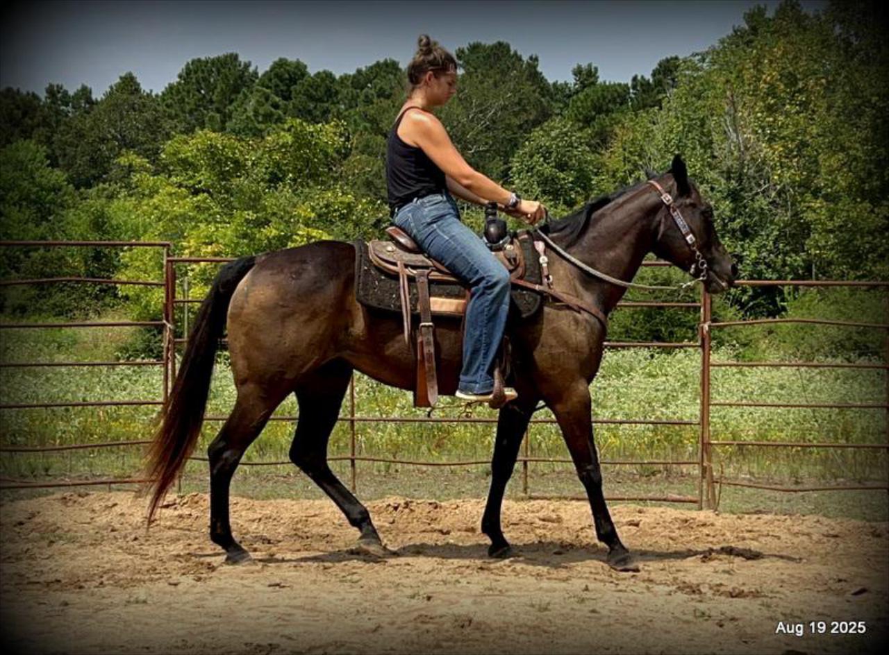 Shadow – The Sweetheart Everyone’s Looking For