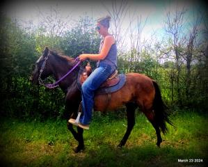 Shey