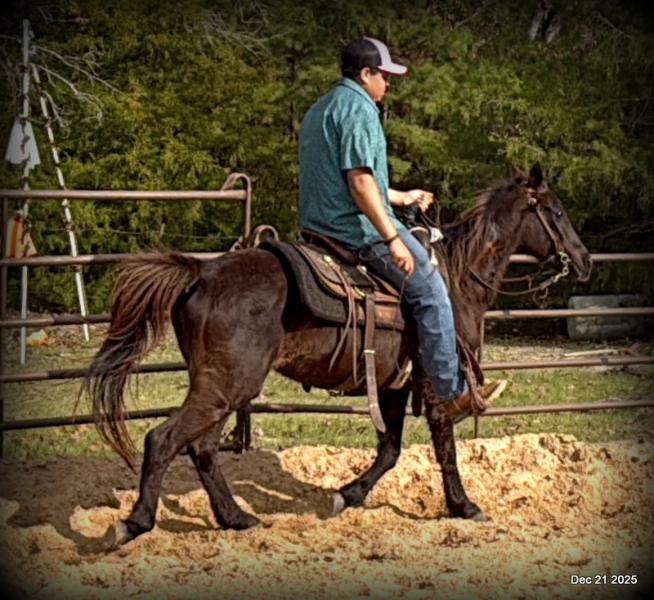 🩷❤️Pixie🩷❤️