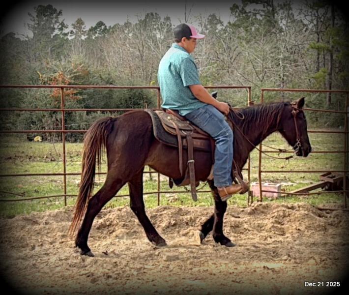 🩷❤️Pixie🩷❤️