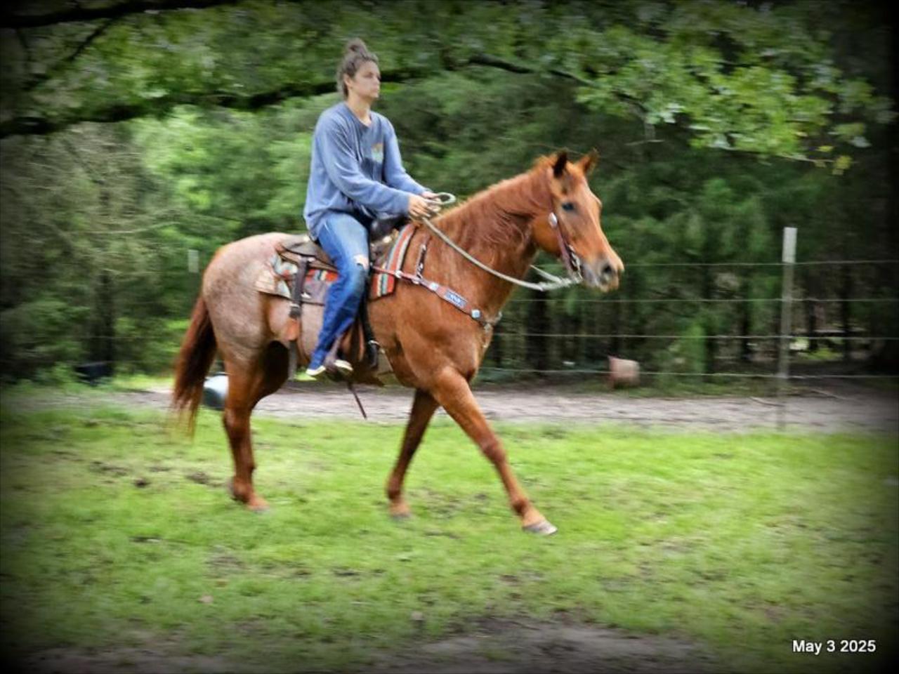 Josie
