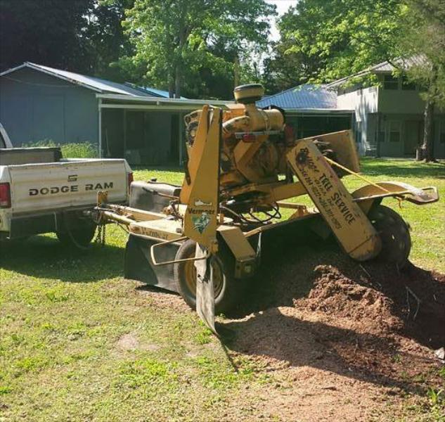 Tree Removal and Stump Grinding Services