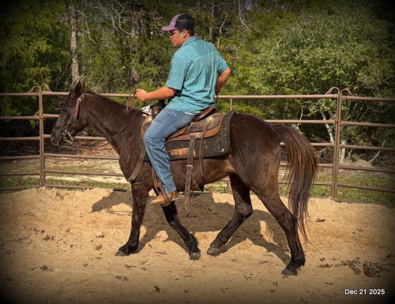 🩷❤️Pixie🩷❤️