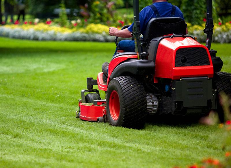 Grass cutting