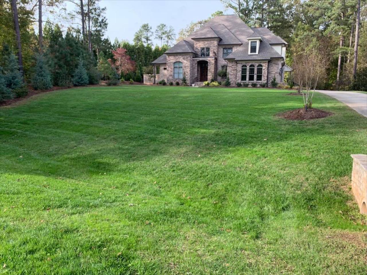 Advantages of Weekly Mowing