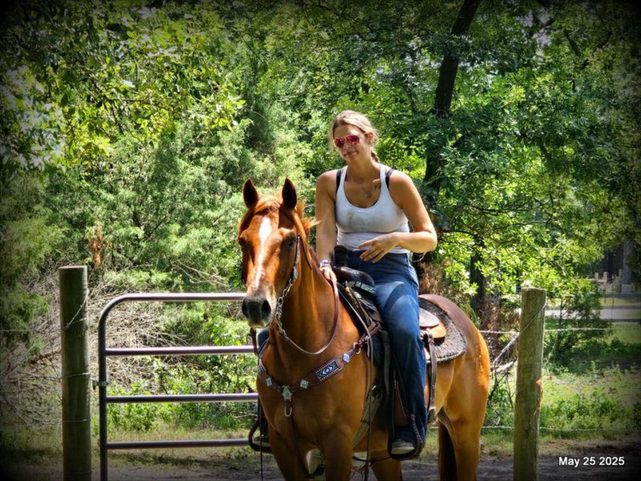 Smart Little Buzz AKA hawk