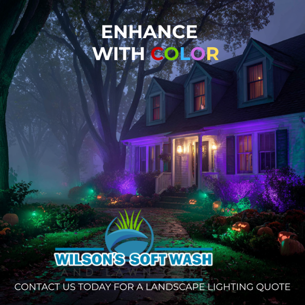 Landscape Lighting