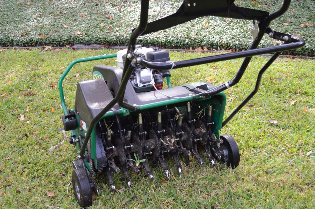 Aeration &amp; Overseeding