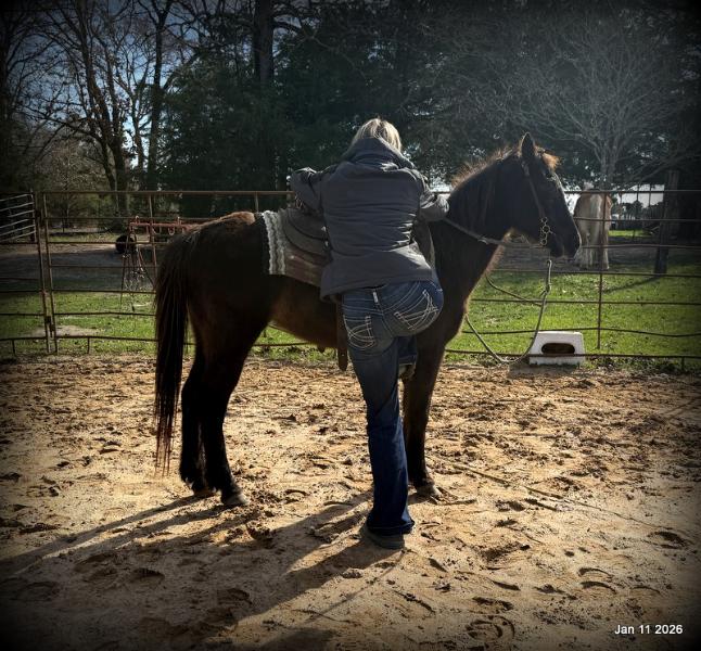 🩷❤️Pixie🩷❤️