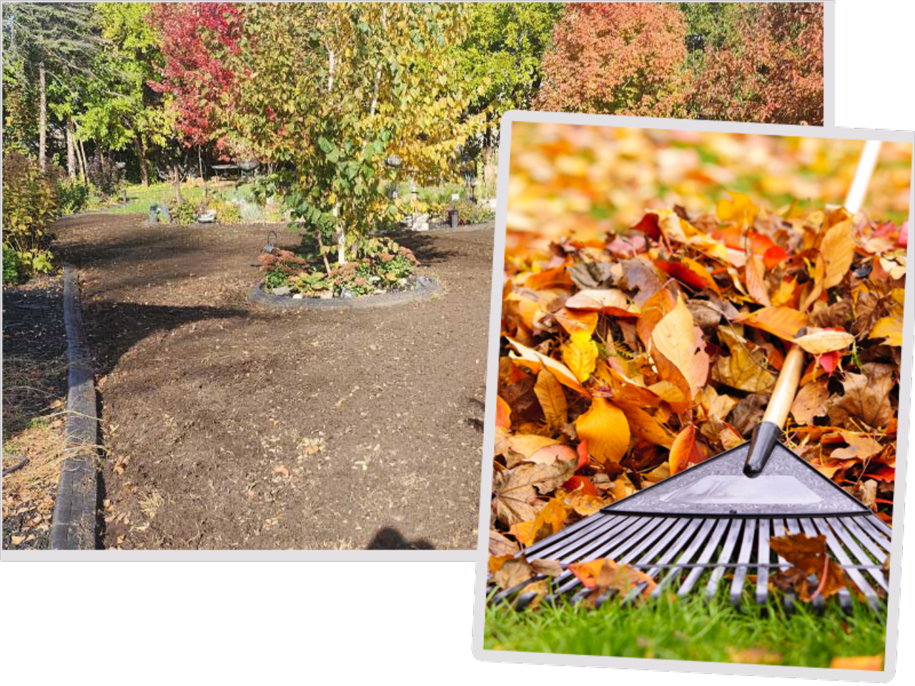 Fall Cleanup