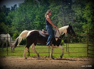 Montana – The Picture-Perfect Partner with All the Right Moves