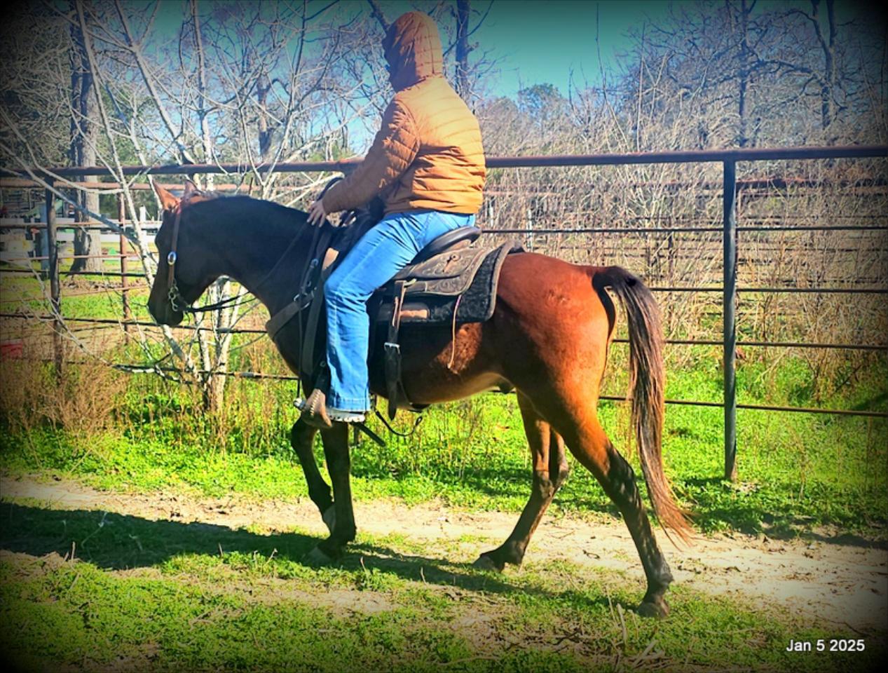 Boomerang