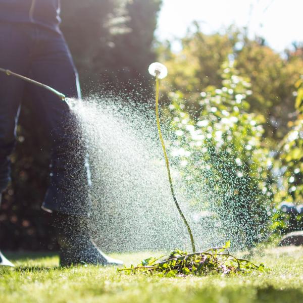 WEED CONTROL AND FERTILIZING