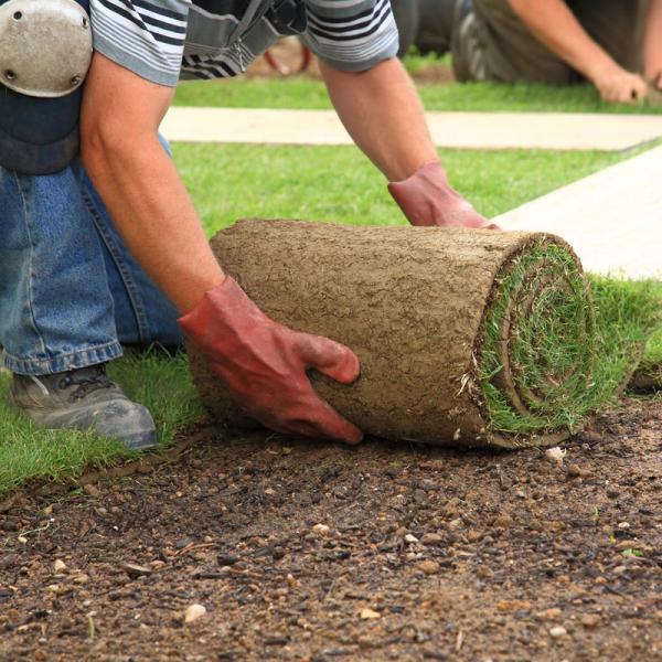 Seeding &amp; Sodding