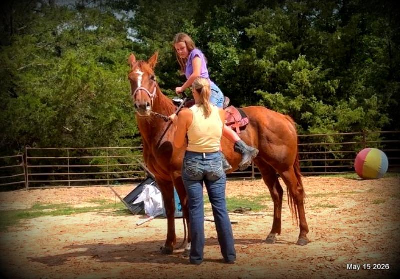 ❤️Mocha❤️Mare with a Story Still Being Written 🌟