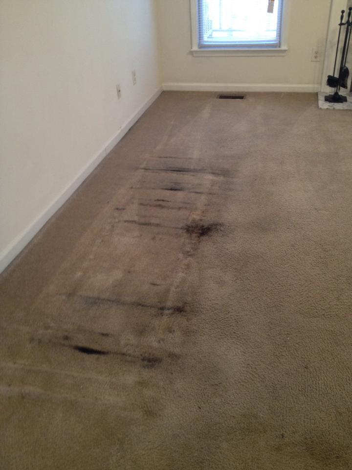 Stain & Odor Removal