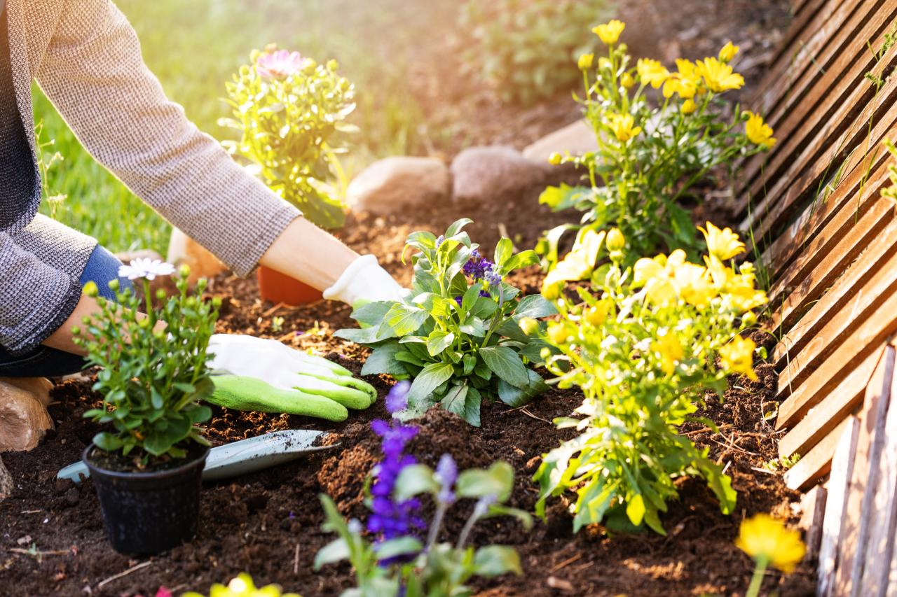 Flower & Garden Bed Maintenance