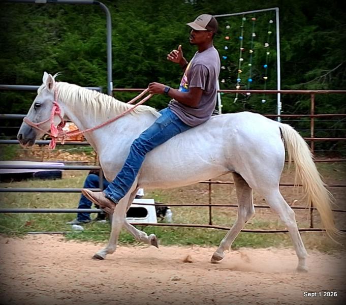 💛 🐴 Wisp • Beginner Safe, Smooth & Gentle Trail Mare 💛