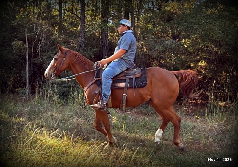 💚Ranger Safe for All Ages💚