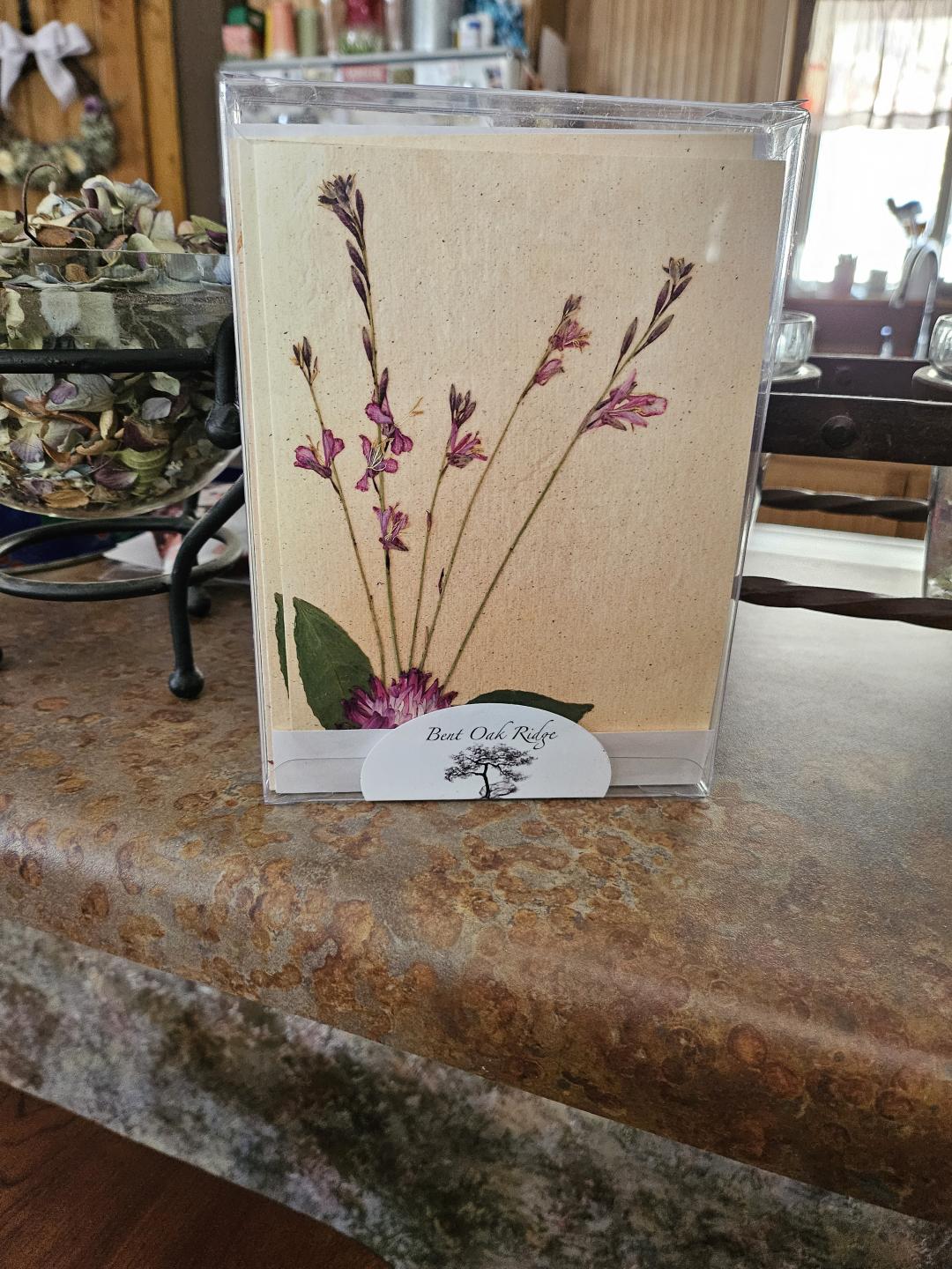 Meadow Series Cards 10 pack print cards