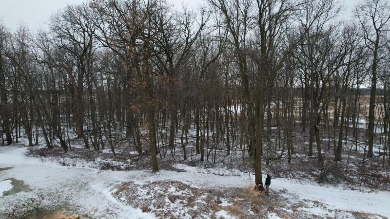 Meyer Tree Care LLC In Oshkosh WI