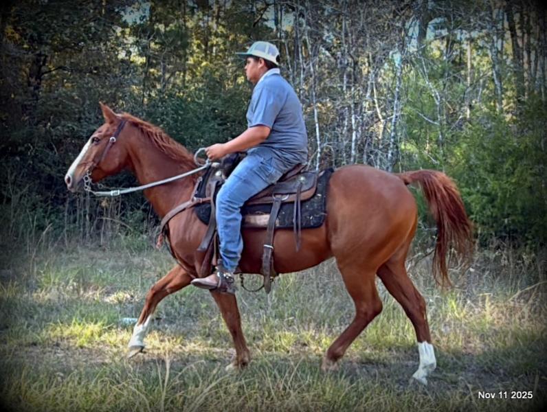 💚Ranger Safe for All Ages💚