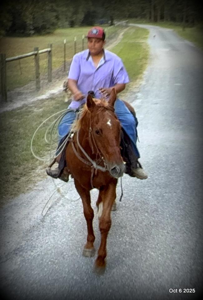 Biggie – Ranch-Tested, Family-Safe, and Ready to Ride!