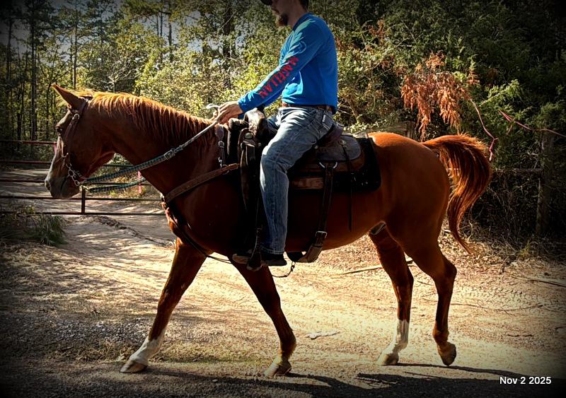 💚Ranger Safe for All Ages💚