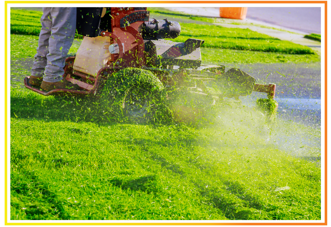 Lawn Care