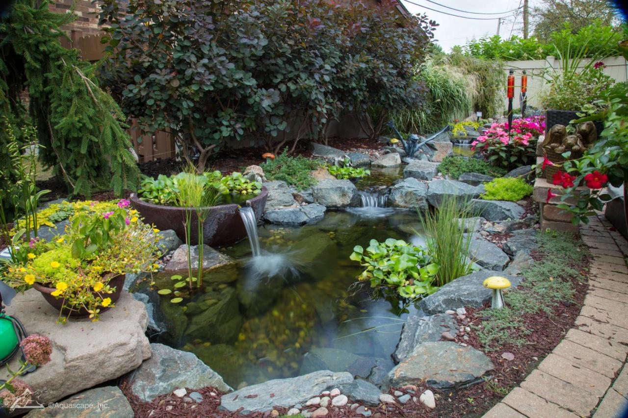 An ecosystem pond can range in size from 6&#39;x8&#39; to virtually any size you can dream up.