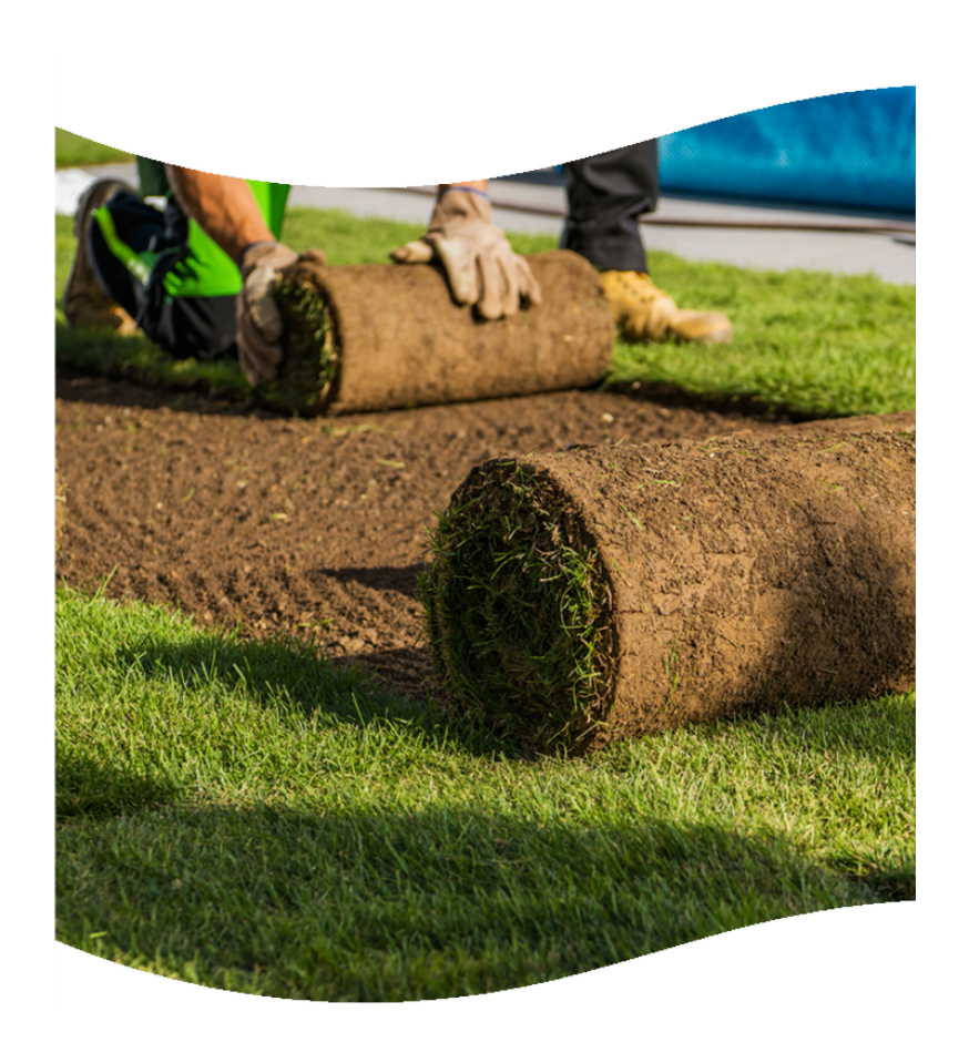 Grass Installing