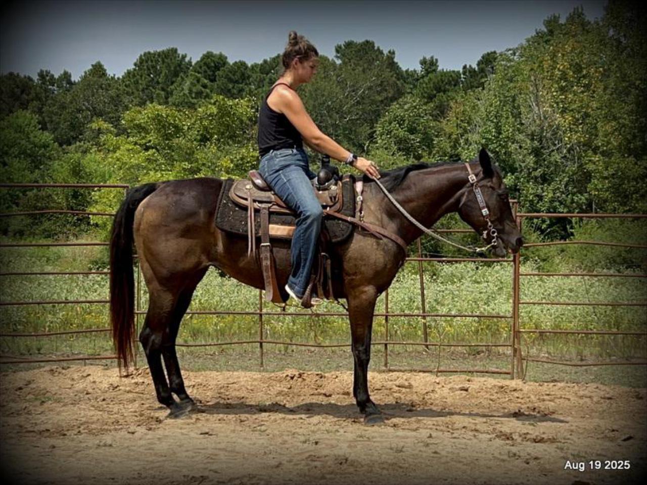 Shadow – The Sweetheart Everyone’s Looking For