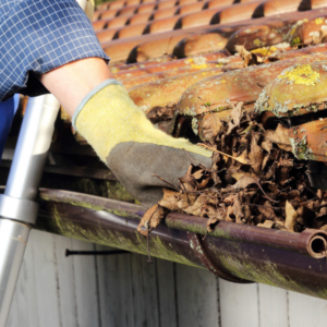 Gutter Cleaning & Brightening