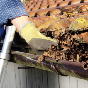 Gutter Cleaning