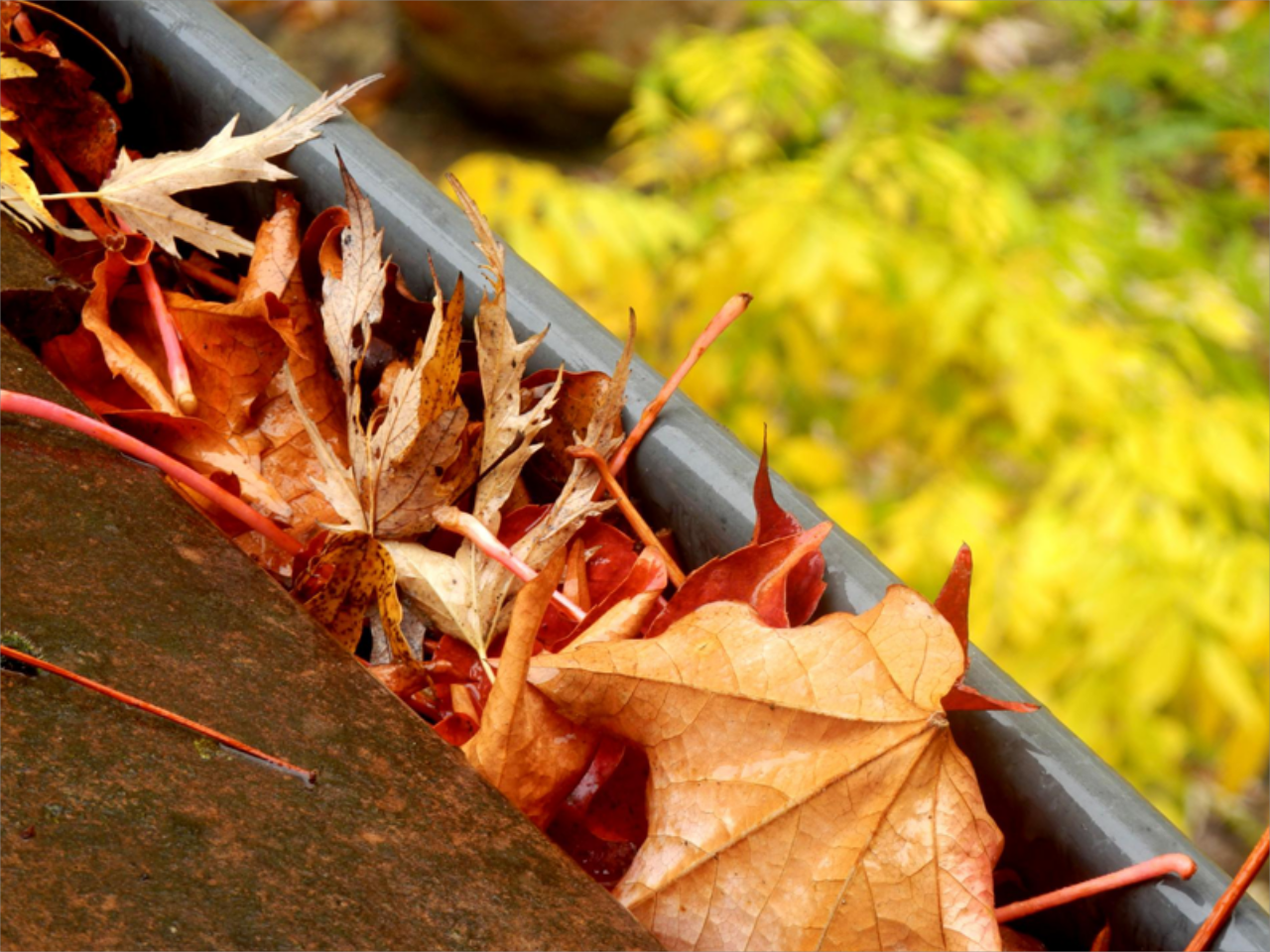 Quality Gutter Cleaning, Installation & More 