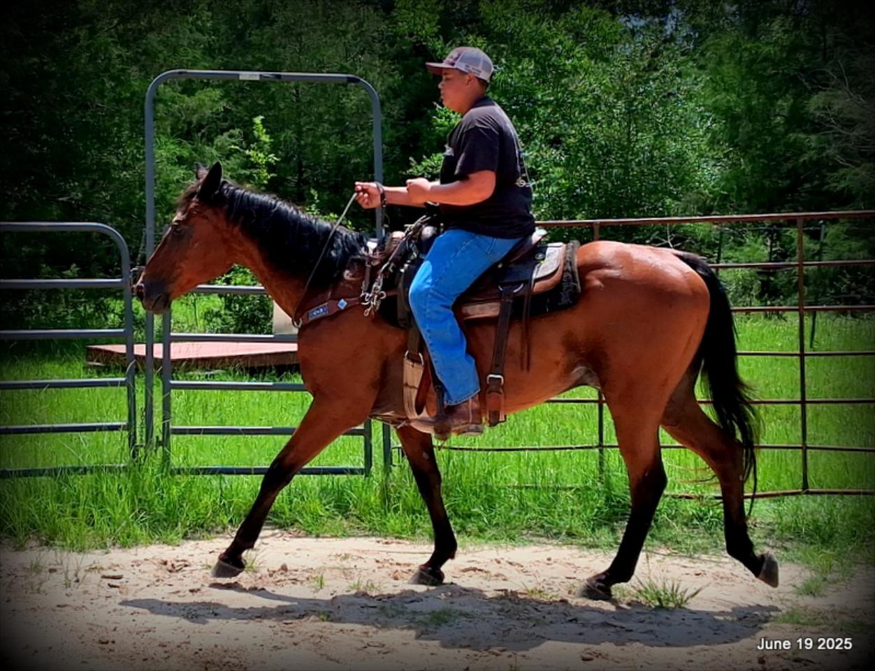 Sammy – A Comeback Story with a Heart of Gold