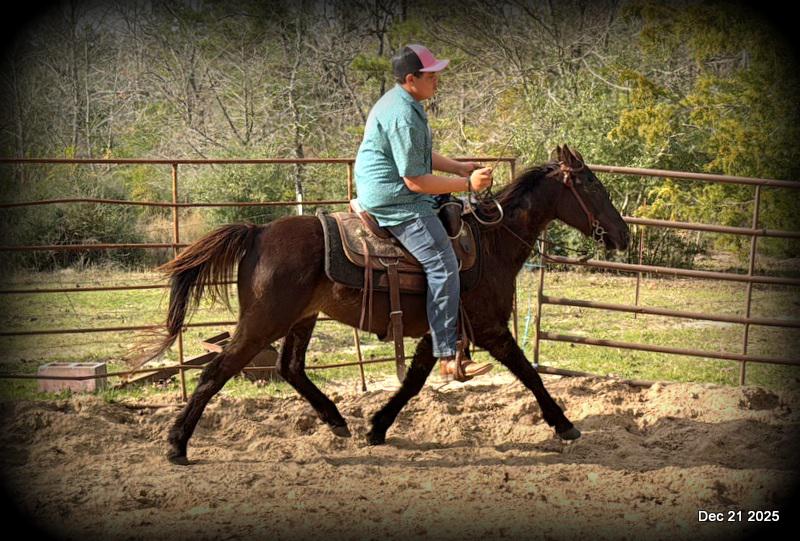 🩷❤️Pixie🩷❤️