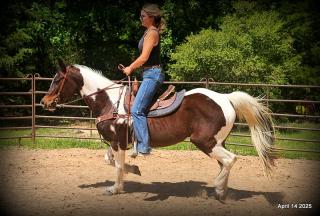 Montana – The Picture-Perfect Partner with All the Right Moves