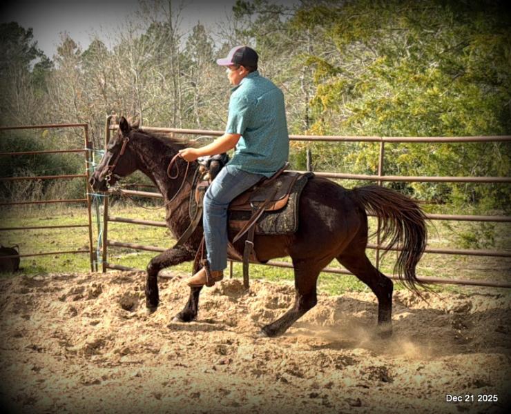 🩷❤️Pixie🩷❤️